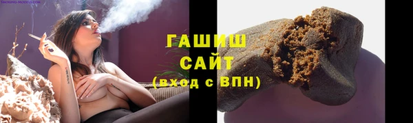 спиды Богородицк