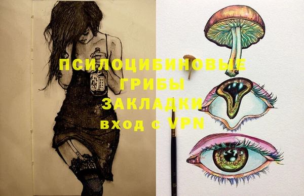 спиды Богородицк