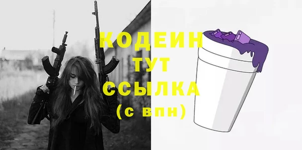 спиды Богородицк