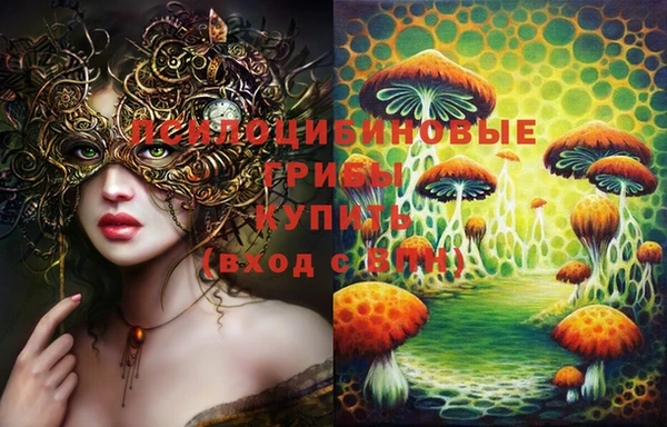 стафф Бронницы