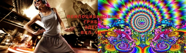 стафф Бронницы