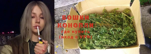 каннабис Богданович