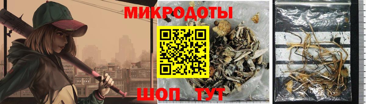 Псилоцибиновые грибы Cubensis Бугуруслан