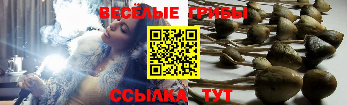 Псилоцибиновые грибы ЛСД  Вход с VPN  Бугуруслан 